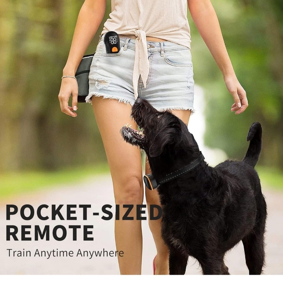 Pet Training Bark Collar - Picture 6 of 8